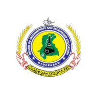 BISE (Board of Intermediate and Secondary Education) Hydrabad, Sindh logo