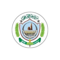 BISE (Board of Intermediate and Secondary Education) Sukkar logo